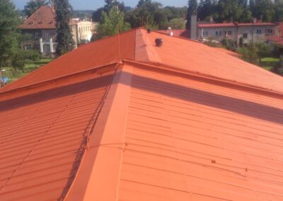 Čištění, nátěry a renovace střech Hradec Králové a celá ČR