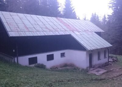 Čištění, nátěry a renovace střech Hradec Králové a celá ČR
